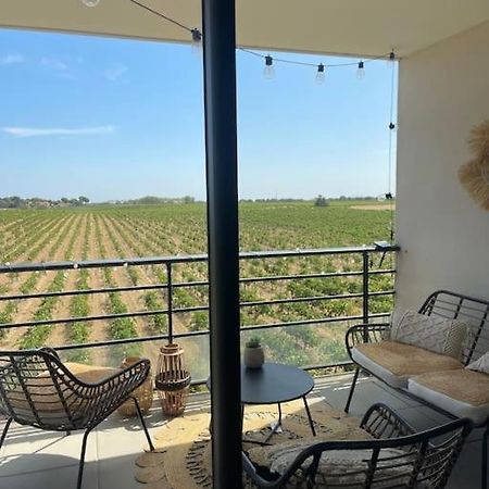Appartement Vue Vigne Перпинян Екстериор снимка