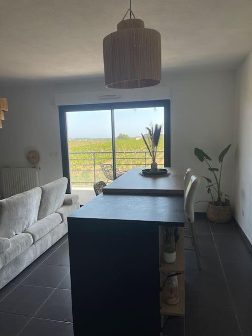 Appartement Vue Vigne Перпинян Екстериор снимка