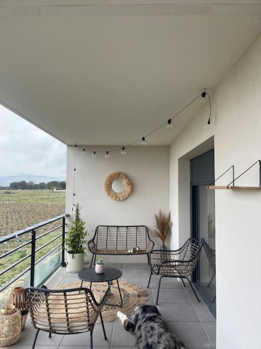 Appartement Vue Vigne Перпинян Екстериор снимка