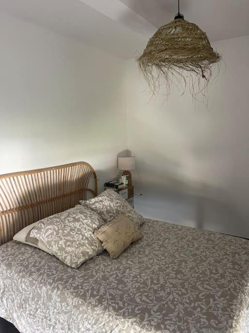 Appartement Vue Vigne Перпинян Екстериор снимка