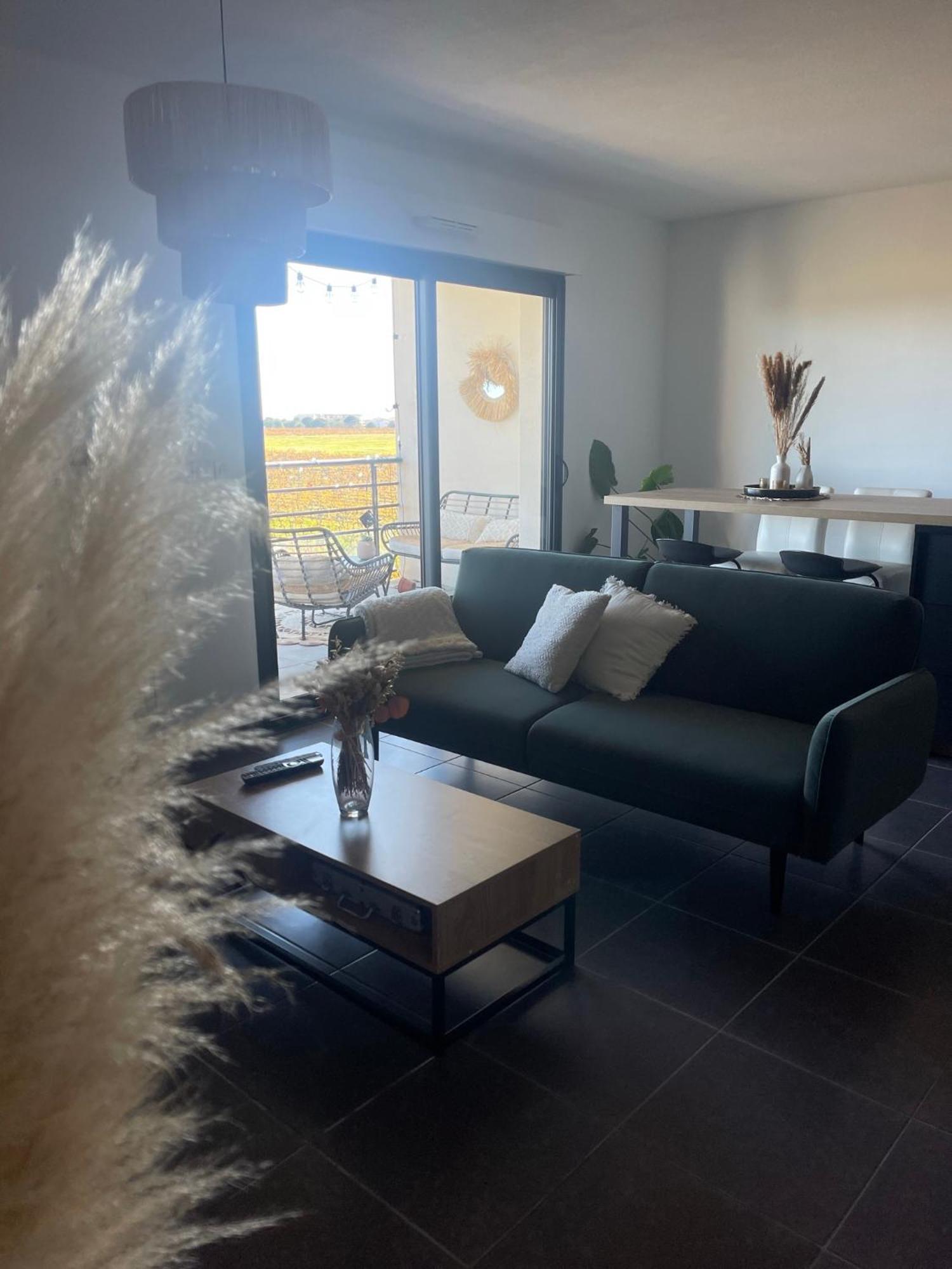 Appartement Vue Vigne Перпинян Екстериор снимка