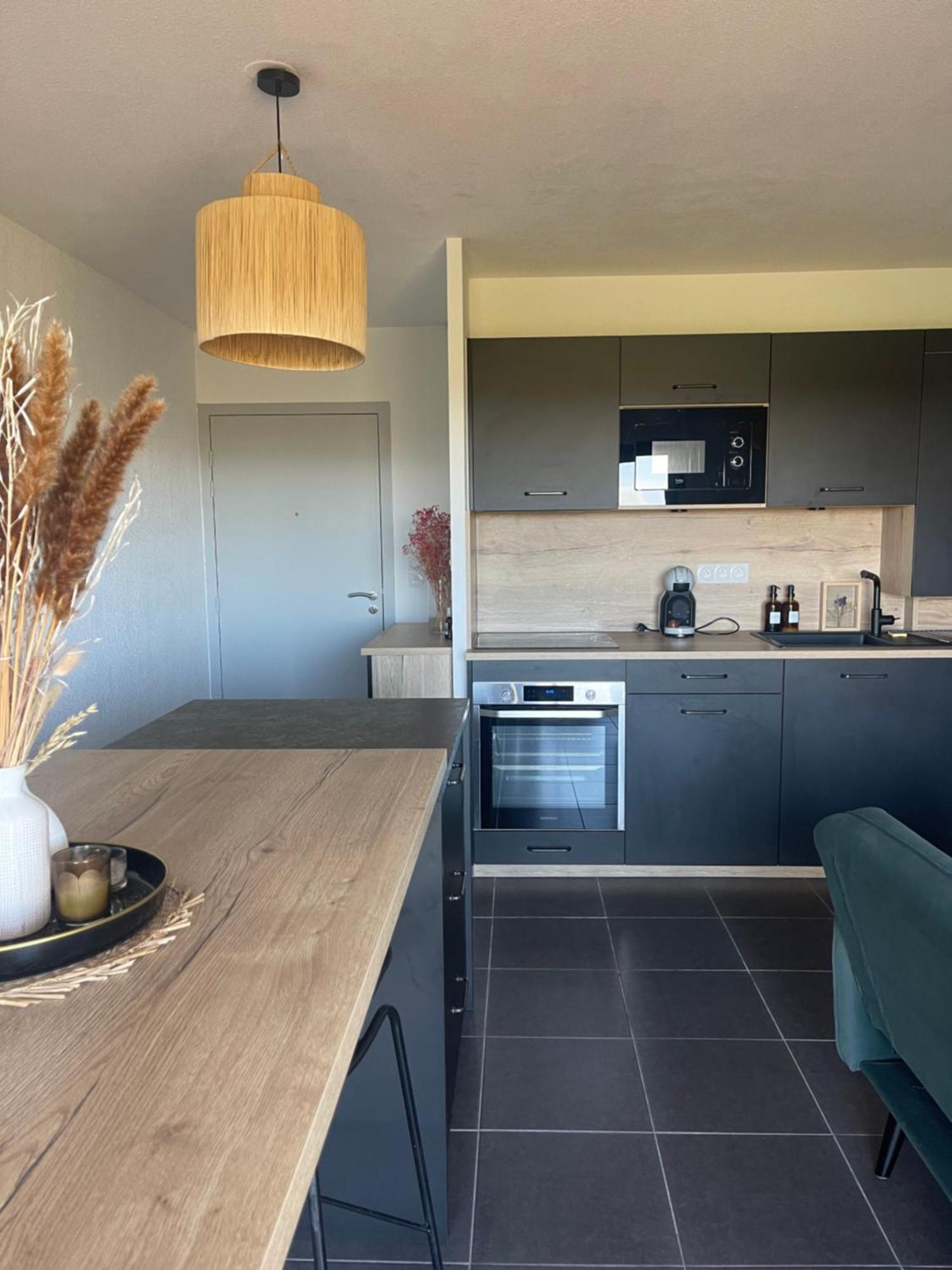 Appartement Vue Vigne Перпинян Екстериор снимка