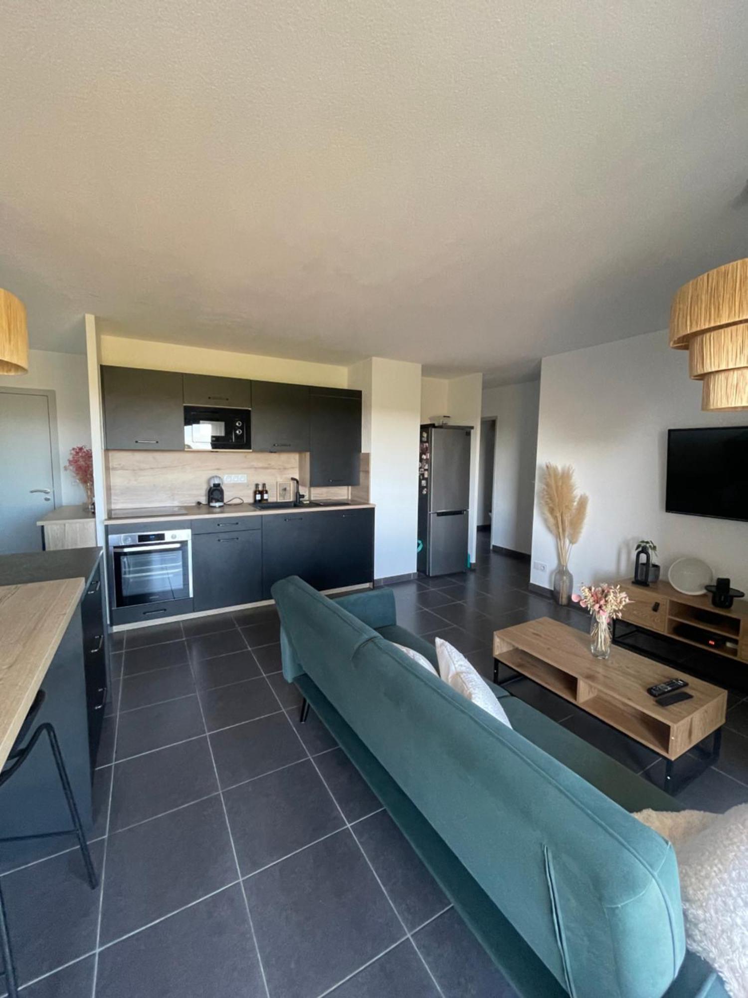 Appartement Vue Vigne Перпинян Екстериор снимка